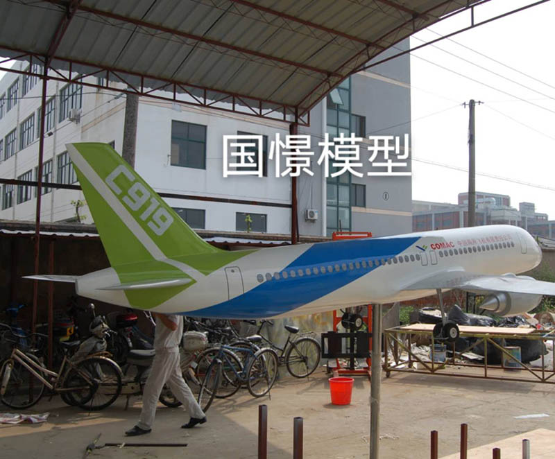 昂仁县飞机模型
