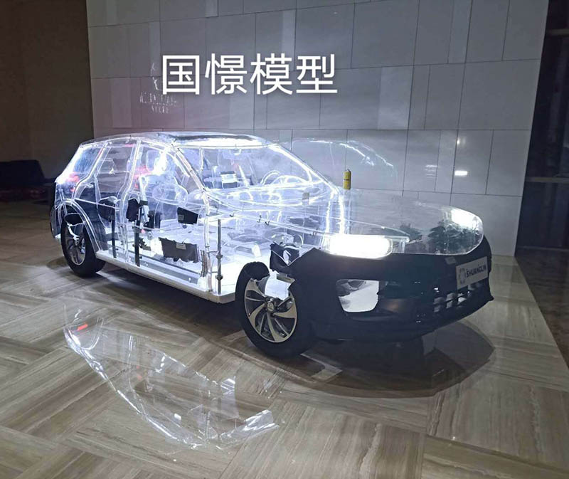 昂仁县透明车模型